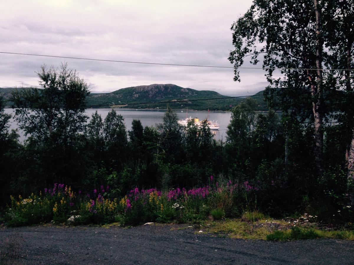 Jarfjord Arctic Aurora Lodge Karpbukt Экстерьер фото